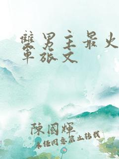 双男主最火十大军旅文