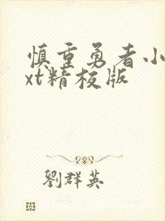 慎重勇者小说txt精校版