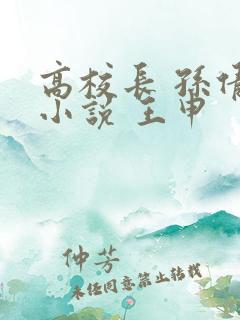 高校长 孙倩 小说 王申