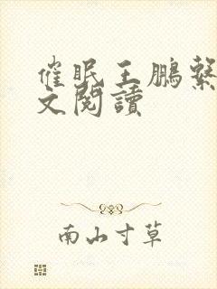 催眠王鹏系列全文阅读