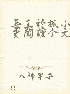 兵王于枫小说免费阅读全文