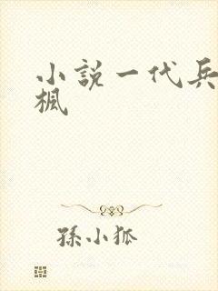 小说一代兵王于枫