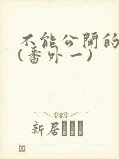 不能公开的秘密(番外一)