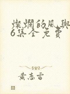 灿烂的风与海36集全免费