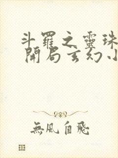 斗罗之灵珠神剑 开局玄幻小猪