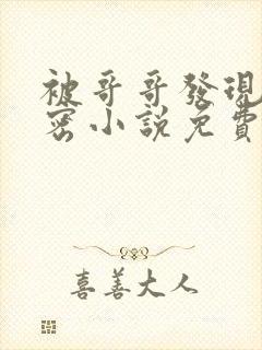 被哥哥发现的秘密小说免费阅读全文