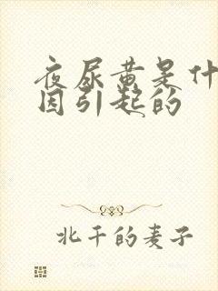 夜尿黄是什么原因引起的