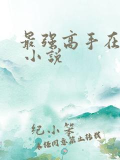 最强高手在都市 小说