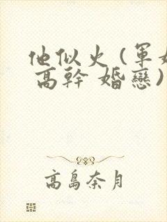 他似火 (军婚 高干 婚恋)完整版