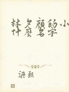 林夕颜的小说叫什么名字