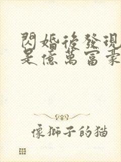 闪婚后发现老公是亿万富豪都市小说