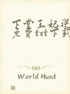下堂王妃逆袭记免费txt下载