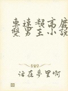 车速超高废文的双男主小说推荐短篇