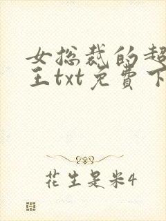 女总裁的超级兵王txt免费下载