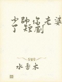 少帅你老婆又跑了 短剧