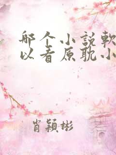 哪个小说软件可以看原耽小说