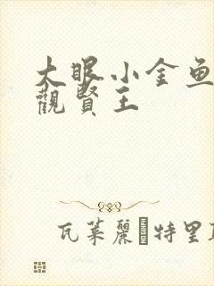 大眼小金鱼 贞观贤王