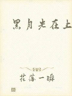 黑月光在上小说