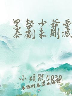 黑帮少爷爱上我泰剧未删减版