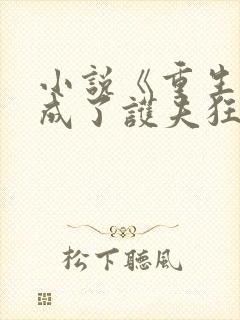 小说《重生后我成了护夫狂魔》