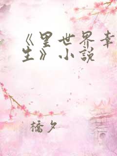 《里世界幸福人生》小说