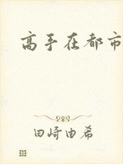 高手在都市小说