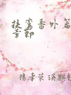 扶鸾番外篇全部章节