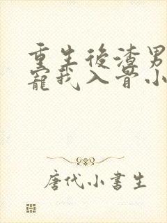 重生后渣男小叔宠我入骨小说