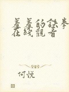 羞羞的铁拳高清在线观看