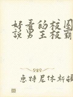 好看的校园文小说男主校霸