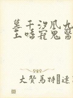 慕千汐凰九夜邪王嗜宠鬼医狂妃