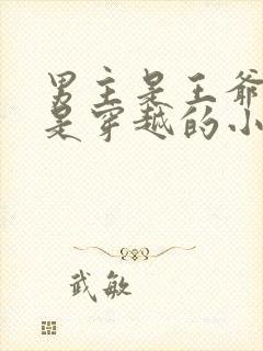 男主是王爷女主是穿越的小说