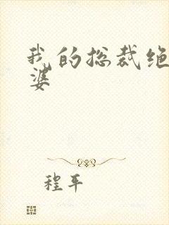 我的总裁绝色老婆