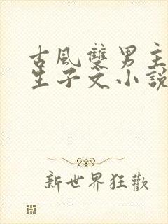 古风双男主超虐生子文小说