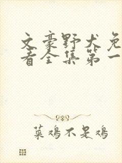 文豪野犬免费观看全集第一季