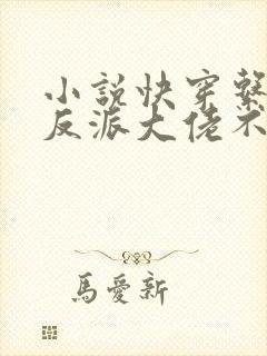 小说快穿系统:反派大佬不好惹