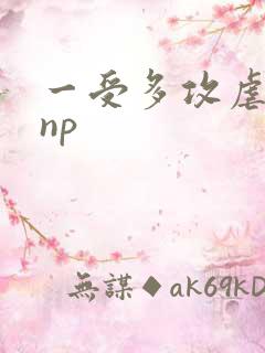一受多攻虐受文np