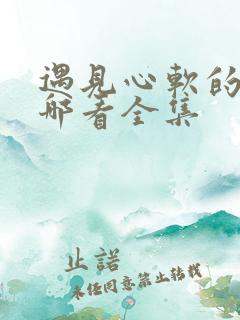 遇见心软的神在哪看全集