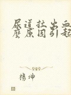 尿道拉出血是什么原因引起的