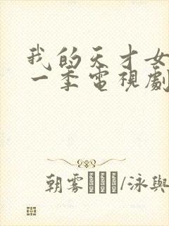 我的天才女友第一季电视剧