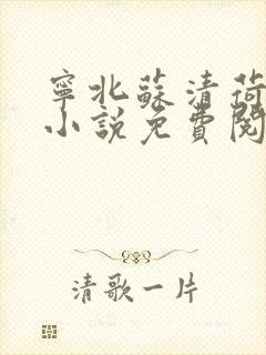 宁北苏清荷正版小说免费阅读