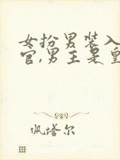 女扮男装入朝为官,男主是皇上古言