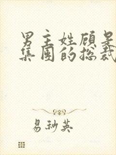 男主姓顾是顾氏集团的总裁