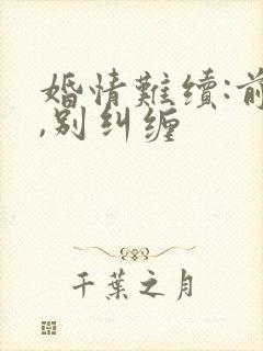 婚情难续:前夫,别纠缠