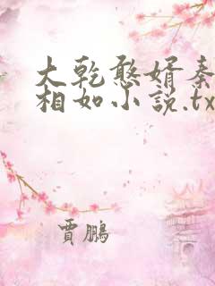 大乾憨婿秦墨秦相如小说.txt