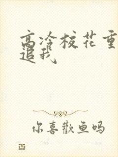 高冷校花重生倒追我