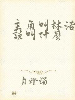 主角叫林浩的小说叫什么