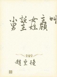 小说女主叫晚晚男主姓顾