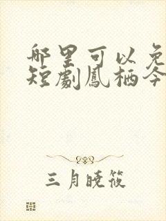 哪里可以免费看短剧凤栖今朝全集