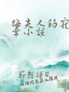 梅夫人的宠夫日常小说